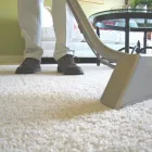 Business 1 image 24/7 CARPET & UPHOLSTERY CLEANING SERVICES Vacuums & Steam Cleaners in St. Louis MO