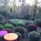 Business 22 image 24 HOUR CHILDCARE Life Coach in Renton WA