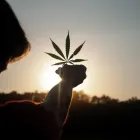 Business 2 image 3BIRDS CANNABIS CO. Cannabis Dispensary in Tulsa OK