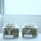 Business 3 image 3BIRDS CANNABIS CO. Cannabis Dispensary in Tulsa OK