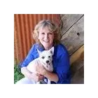 Business 2 image 5 STAR TERMITE AND PEST CONTROL Pest Control Equipment & Supplies in Tucson AZ