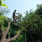 Business 2 image A-1 LAWN & TREE SERVICE Masonry & Stonework Contractors in Fort Worth TX