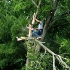 Business 4 image A-1 LAWN & TREE SERVICE Masonry & Stonework Contractors in Fort Worth TX