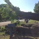 Business 5 image A-1 LAWN & TREE SERVICE Masonry & Stonework Contractors in Fort Worth TX