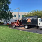 Business 1 image A&B TREE SERVICES INC. Tree Service Equipment & Supplies in Aurora IL