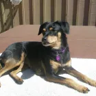 Business 2 image A BETTER CHOICE AT WAVES Psychotherapy in San Jose CA