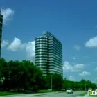 Business 1 image A-EMERGENCY SERVICES & RESTORATION INC Windows-Repair, Replacement & Installation in Chicago IL
