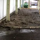 Business 5 image A GOAT CLEANING SERVICES House Cleaning Service in Indianapolis IN