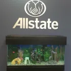 Business 8 image A. S. LAWRENCE: ALLSTATE INSURANCE Retirement in Wilmington DE