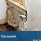 Business 2 image A SI RESTORATION Water Restoration in Baltimore MD