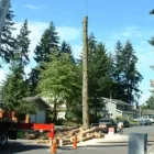 Business 7 image A TO Z STUMP & TREE INC Tree Service in Woodinville WA