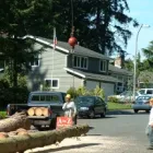 Business 3 image A TO Z STUMP & TREE INC Tree Service in Woodinville WA