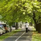 Business 1 image A WALKABLE COMMUNITY TREE SERVICES Tree Service Equipment & Supplies in Bingham Twp MI