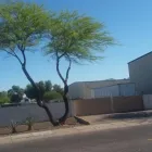 Business 5 image AAA FAMILY TREE LANDSCAPING LLC Remodeling Contractor in Tucson AZ