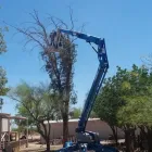 Business 6 image AAA FAMILY TREE LANDSCAPING LLC Remodeling Contractor in Tucson AZ
