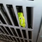 Business 37 image AAAC SERVICE HEATING AND AIR CONDITIONING Heating Service in Mcdonough GA