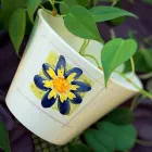 Business 4 image AARON USHER III PHOTOGRAPHY in Pawtucket RI