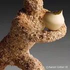 Business 10 image AARON USHER III PHOTOGRAPHY in Pawtucket RI