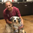 Business 1 image ABC PET CARE CLINIC Veterinary Pharmacies in Tucson AZ