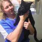 Business 2 image ABC PET CARE CLINIC Veterinary Pharmacies in Tucson AZ