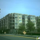 Business 1 image ABELLA DENTAL Dental Clinics in Bellevue WA