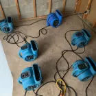 Business 5 image ABSOLUTE RESTORATION Sewage Backup Cleaning Services in Indianapolis IN