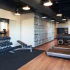 Business 12 image AC HOTEL BY MARRIOTT BEVERLY HILLS Travel & Tourism in Los Angeles CA