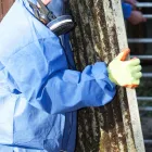 Business 1 image ACCREDITED ENVIRONMENTAL SOLUTIONS Hazardous Waste Service in Port Washington NY