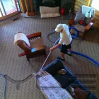 Business 1 image ACDC CLEANING AND RESTORATION Damage Restoration Service in North Logan UT