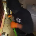 Business 4 image ACE DRAIN AND SEWER EXPERTS INC. Plumbers in Brookfield IL