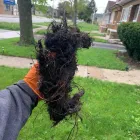 Business 19 image ACE DRAIN AND SEWER EXPERTS INC. Plumbers in Brookfield IL