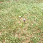 Business 5 image ACE ENVIRONMENTAL HOLDINGS, LLC in Baltimore MD