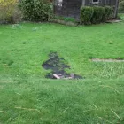 Business 7 image ACE ENVIRONMENTAL HOLDINGS, LLC in Baltimore MD