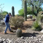 Business 6 image ACME IRRIGATION COMPANY LLC Irrigation Repair in Tucson AZ