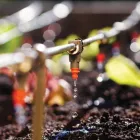 Business 7 image ACME IRRIGATION COMPANY LLC Irrigation Repair in Tucson AZ