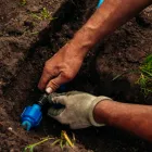 Business 13 image ACME IRRIGATION COMPANY LLC Irrigation Repair in Tucson AZ