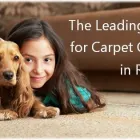 Business 4 image ACTION CHEM-DRY II Cleaning Services in Riverside CA