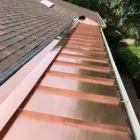 Business 2 image ACTION ROOFING & CONSTRUCTION INC. in Georgetown TX