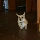 Business 8 image AD VENTURES DESIGN & MARKETING Web Site Design & Services in Seattle WA