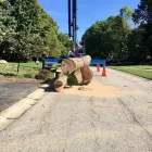 Business 1 image ADAM & SONS TREE SERVICE Tree Service in Indianapolis IN