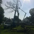 Business 3 image ADAM & SONS TREE SERVICE Tree Service in Indianapolis IN