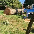 Business 4 image ADAM & SONS TREE SERVICE Tree Service in Indianapolis IN