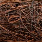 Business 3 image ADELMAN'S RESOURCE SOLUTIONS in Chicago IL