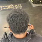 Business 8 image ADMIRE LOCS in Indianapolis IN