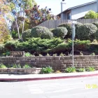 Business 4 image ADVANCE TREE SERVICE INC Tree Service Equipment & Supplies in Walnut Creek CA
