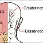 Business 7 image ADVANCE UPPER CERVICAL CHIROPRACTIC in Walnut Creek CA