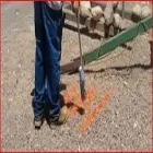 Business 4 image AFFORDABLE ELECTRIC, INC. Utility Companies in Tucson AZ