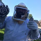 Business 1 image AFFORDABLE PEST CONTROL Pets & Animals in Indianapolis IN