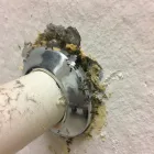 Business 3 image AFFORDABLE PEST CONTROL Pets & Animals in Indianapolis IN