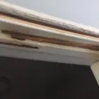 Business 5 image AFFORDABLE PEST CONTROL Pets & Animals in Indianapolis IN